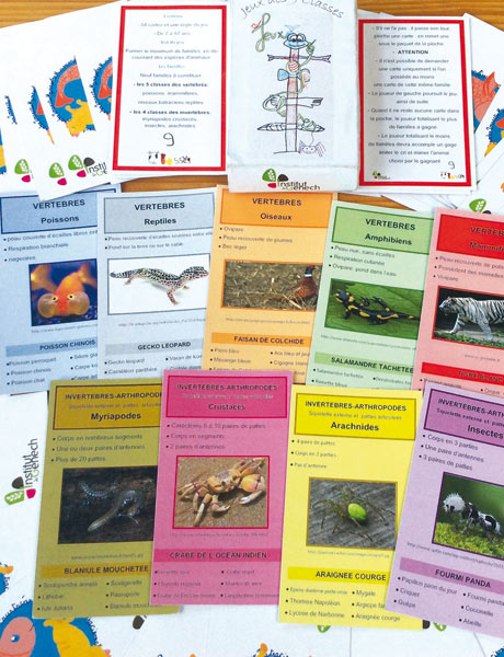jeu-de-cartes Exemple d’interdisciplinarité : ce jeu de cartes conçu avec 3 enseignants